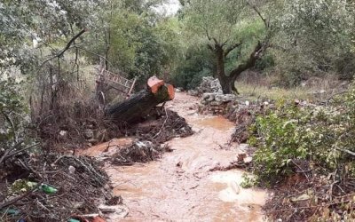 Παρέμβαση του Π.Σ. «Το Αγκαλάκι» στην ΠΙΝ για την αντιπλημμυρική θωράκιση των Πουλάτων