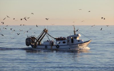 Η απάντηση Τσακλόγλου σε ερώτηση για τα αιτήματα της Επιτροπής Αγώνα των αλιέων Κεφαλονιάς και Ιθάκης