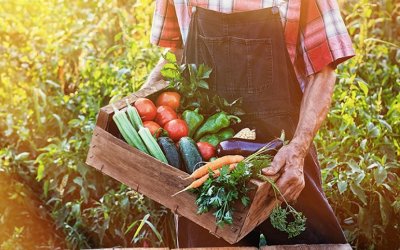 Έως 26 Απριλίου 2026 οι αιτήσεις για τα Ευρωπαϊκά Βραβεία Βιολογικής Παραγωγής