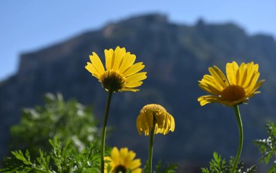 Καιρός: Η άνοιξη είναι εδώ - Τι προβλέπει ο Κλέαρχος Μαρουσάκης για τις επόμενες ημέρες;