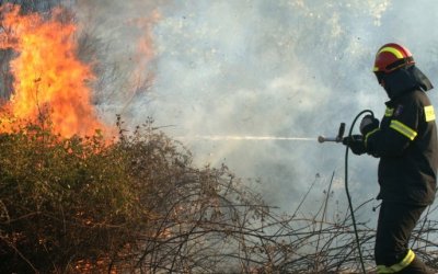 Κεφαλονιά: Προφυλακιστέος ο εποχικός πυροσβέστης που κατηγορείται για εμπρησμό