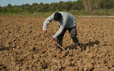 Ε.Α.Σ.: Θετική εξέλιξη για τους εργάτες γης