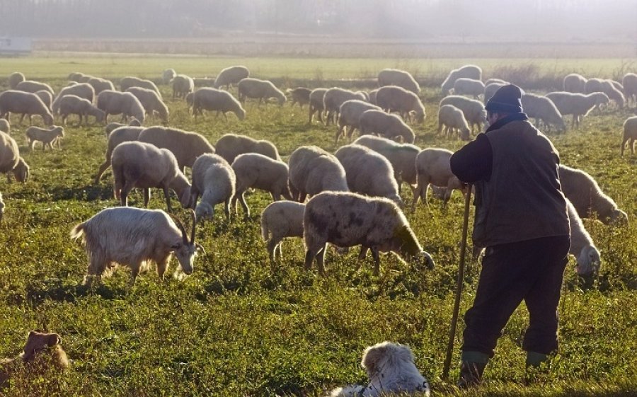 Ε.Α.Σ.: Η απόφαση για 127.232 ΓεωργοΚτηνοτρόφους