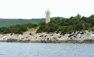 Βαρκάδα στο Φισκάρδο...και στα πέριξ (εικόνες)