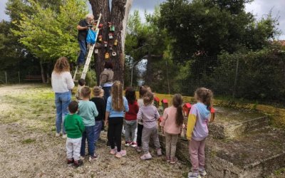 Φωλίτσες και ταΐστρες γεμίζουν χαρά και οικολογική συνείδηση το Νηπιαγωγείο Πόρου
