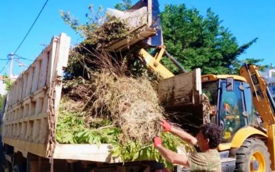 Πώς θα γίνεται η αποκομιδή ογκωδών απορριμμάτων σε Σάμη, Πύλαρο και Έρισο