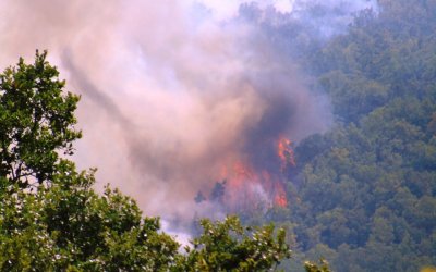 Η αντιπυρική περίοδος δεν έχει τελειώσει ακόμη. Σύσταση στους πολίτες για την αποφυγή πρόκλησης πυρκαγιάς