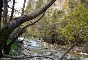 Διασχίζοντας το ποτάμι του Πόρου