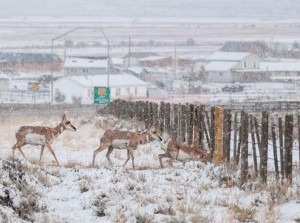 National Geographic : Οι πιο τολμηρές περιπέτειες του 2015