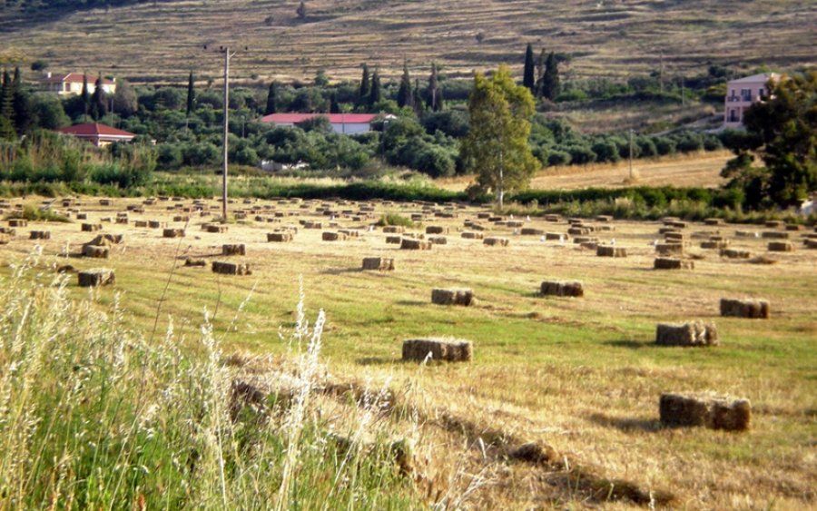 Έφτακε και ο Ιούνιος... μα χάθηκαν οι θημωνιές