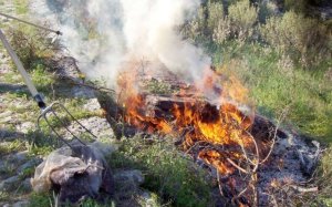 Ιθάκη: &#039;&#039;Έπαιξε&#039;&#039; με την φωτιά και... &#039;&#039;κάηκε&#039;&#039;! Πρόστιμο 2.625 ευρώ σε άνδρα για άναμμα φωτιάς στην ύπαιθρο