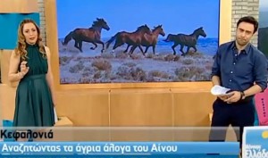 «Μένουμε Ελλάδα» : «Αναζητώντας τα άγρια άλογα του Αίνου...»