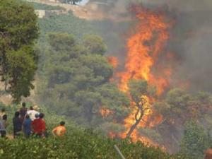 Σήμερα η άσκηση της Πυροσβεστικής «ΔΙΑ ΠΥΡΟΣ 2014»