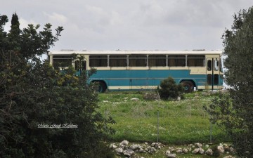 Βόλτα στην Παλιά Σκάλα Κεφαλονιάς (εικόνες)