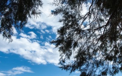 Σάκης Αρναούτογλου: Μετά τον καύσωνα ο υδράργυρος θα υποχωρήσει 10 βαθμούς Κελσίου