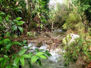 Η Πεζοπορική Ομάδα Σάμης, στους Καταρράκτες του Πόρου