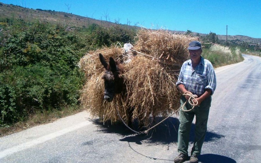 Γεράσιμος Γαλανός: &#039;&#039;Ήρθε καιρός του θερισμού!&#039;&#039;