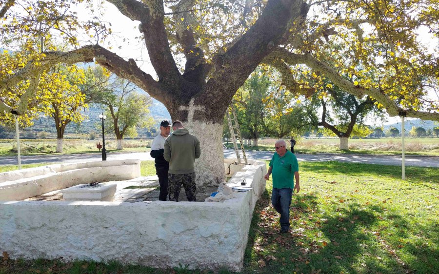 Κεφαλονιά: Ανακήρυξη του Πλατάνου του Αγίου Γερασίμου  ως Προστατευόμενου Φυσικού Σχηματισμού (Διατηρητέο Μνημείο της Φύσης)