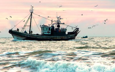 Δήμος Σάμης: Ανοίγουν οι αιτήσεις για χρηματοδότηση επιχειρήσεων αλιείας και υδατοκαλλιέργειας