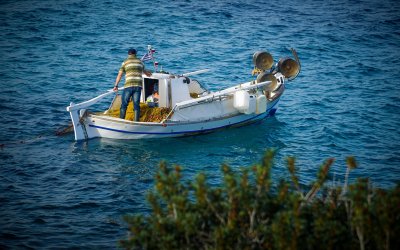 Κουρής: : Ανοίγουν οι αιτήσεις για ενισχύσεις στη μεταποίηση αλιευτικών προϊόντων