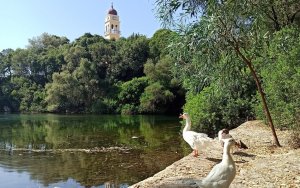 Εθελοντικός καθαρισμός της λίμνης του Καραβόμυλου από ΦΟΡΕΑ &amp; SAVE YOUR HOOD