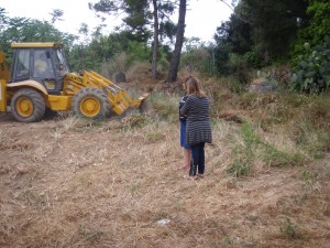 Οι εργασίες καθαριότητας στην Πεσσάδα δεν έχουν τελειωμό