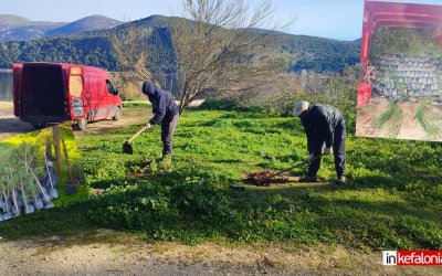 Αργοστόλι: Ξεκίνησε με δεντροφύτευση η οικολογική αποκατάσταση του άλσους του Κουτάβου! (εικόνες/video)