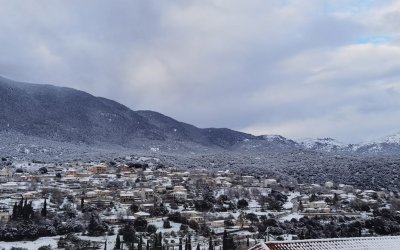 Η Κοινότητα Πυργίου ευχαριστεί τους 11 χορηγούς των Χριστουγεννιάτικων εκδηλώσεων