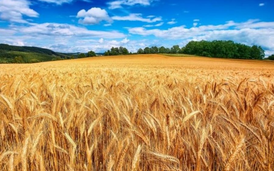 Αυτά είναι τα αποθέματα της Ελλάδας σε πρώτες ύλες και δημητριακά