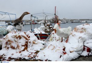 Πάγωσαν από τα χιόνια ιστιοπλοϊκά, βάρκες και καΐκια -Μοναδικά καρέ σε Σκόπελο,Μυτιλήνη και Αργολίδα [εικόνες]