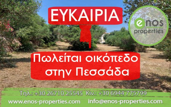 Πωλείται οικόπεδο 6.027,97 τ.μ, σε εξαιρετική τοποθεσία στην Πεσσάδα, με υπέροχη θέα στον Αίνο και στη Ζάκυνθο