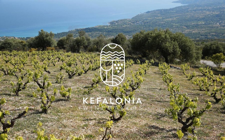 Σύνδεσμος Οινοποιών Κεφαλονιάς: 3ο Kefalonia Wine Hub - Βιοδυναμική και Έξυπνη Γεωργία