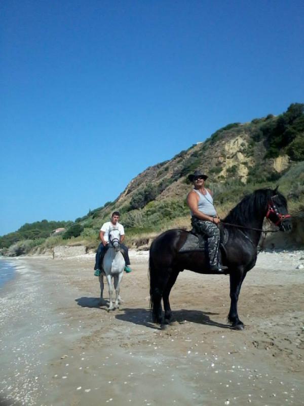 Βόλτα με τα άλογα στο Λουρδά (εικόνες)