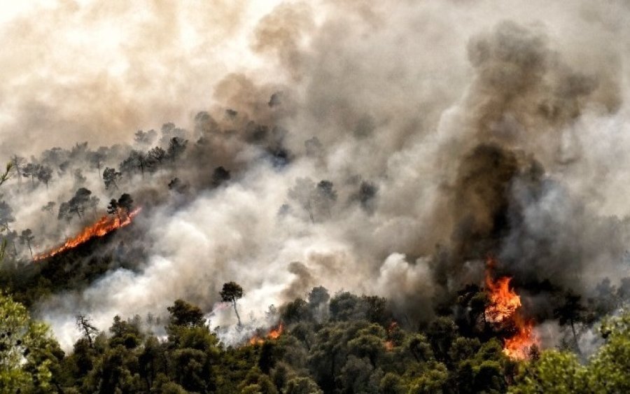 Συνελήφθη ηλικιωμένη στον Ωρωπό για πρόκληση πυρκαγιών από πρόθεση και κατ΄ εξακολούθηση