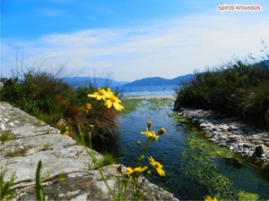 Καλημέρα από τον όμορφο Καραβόμυλο!