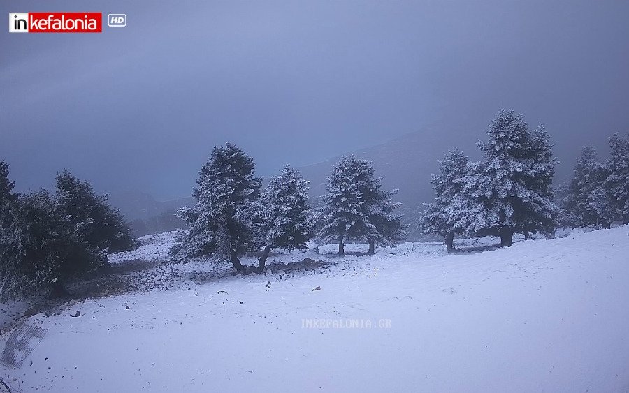 Στα λευκά ντύθηκε ο Αίνος – Εικόνες χειμωνιάτικης ομορφιάς!