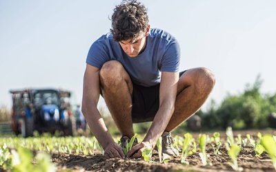 Ε.Α.Σ.: Πιστώθηκε η πρώτη δόση στους ντόπιους Νέους Αγρότες