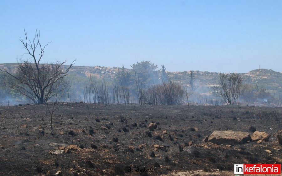 Υπό μερικό έλεγχο η πυρκαγιά στη Λειβαθώ (εικόνες/video)