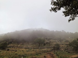 «Σέλας Ανάβαση» για την Πεζοπορική Ομάδα Σάμης