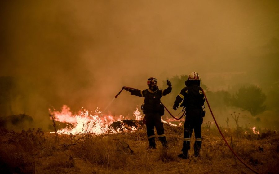 Φωτιά στη Βοιωτία: Νεκρός κτηνοτρόφος που πήγε να σώσει τα ζώα του