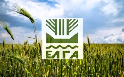 Αναρτήθηκαν τα πορίσματα ΕΛΓΑ για την εκτίμηση των ζημιών από την ανεμοθύελλα στα Τρωϊανάτα