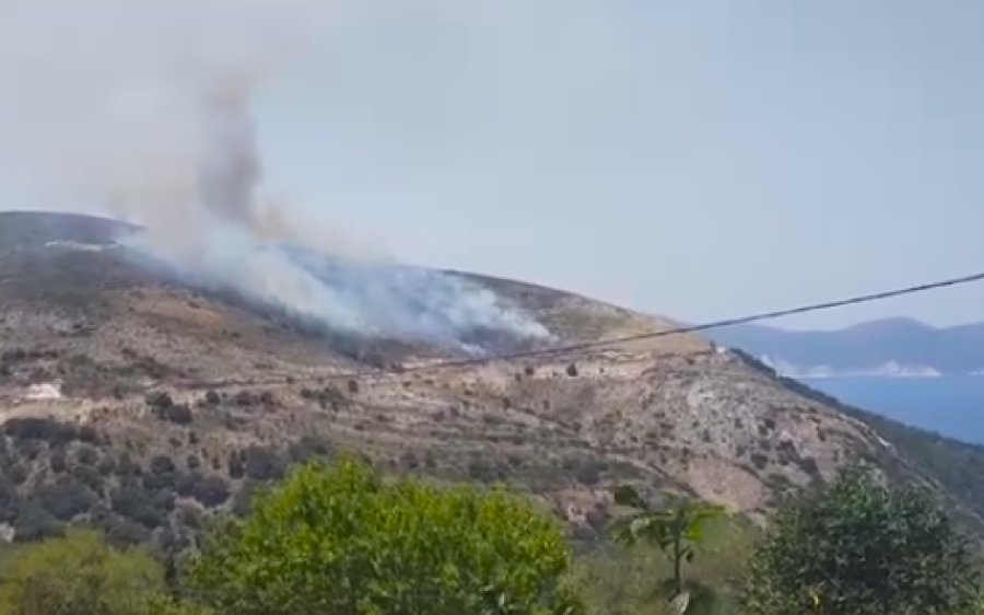 Χωρίς ενεργό μέτωπο η πυρκαγιά πάνω από τον Μύρτο – Επιχείρησαν επίγειες και εναέριες δυνάμεις (video)