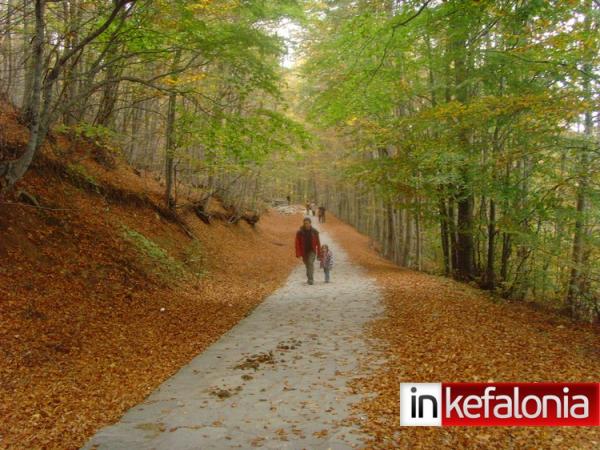 Από την Κεφαλονιά στη.. βόρεια Ελλάδα (εικόνες)