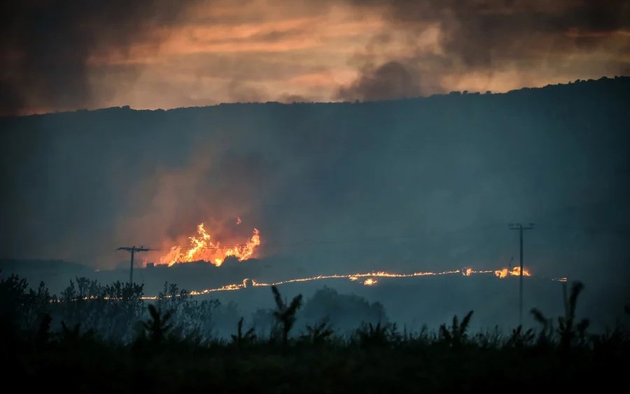 Φωτιά στη Μαγνησία: «Με την πρώτη βροχή, οι καρκινογόνες ουσίες της πυρκαγιάς θα περάσουν στο νερό που πίνουμε»