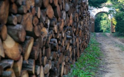 Έρχεται κρατική παρέμβαση στην τιμή των καυσόξυλων και του πέλετ