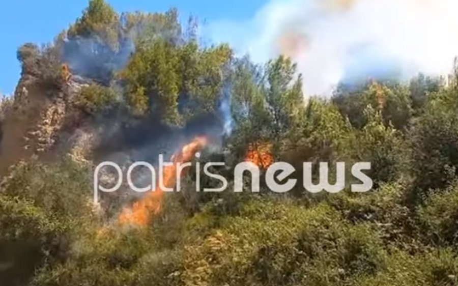 Φωτιά στην Ηλεία: Καλύτερη η εικόνα σε όλα τα μέτωπα – Προσήχθη 65χρονος για εμπρησμό