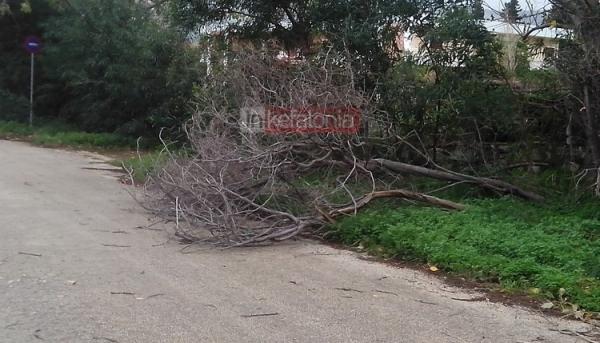 Θυελλώδεις άνεμοι σαρώνουν το νησί… Προσοχή στις πτώσεις κλαδιών και δέντρων που σημειώνονται (εικόνες+video ΑΝΑΝΕΩΜΕΝΟ)