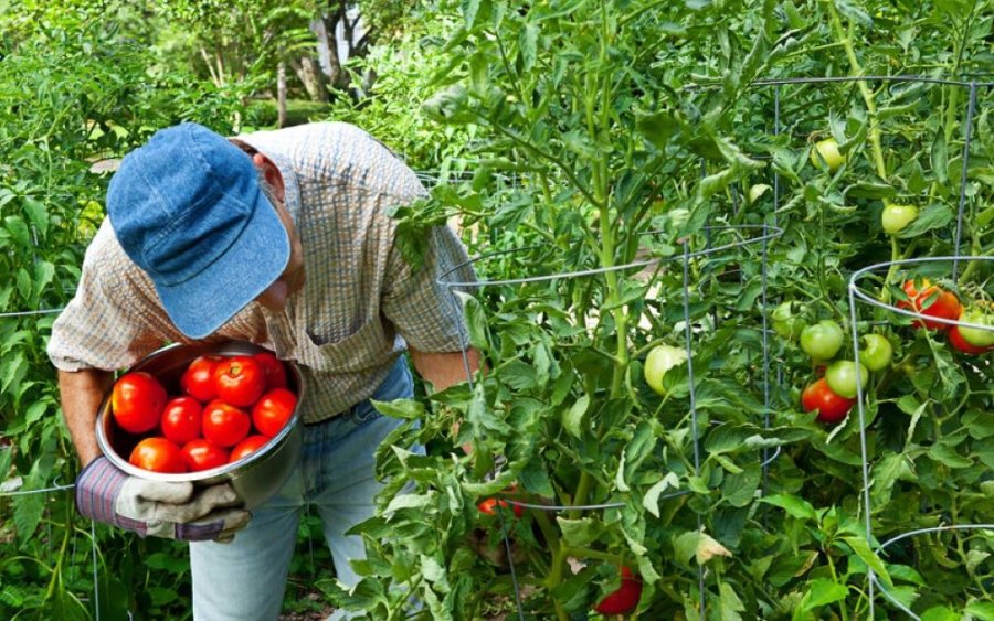 Ε.Α.Σ.: Διευκρινίσεις προς τους ντόπιους Αγρότες και Κτηνοτρόφους