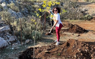 Εθελοντική δεντροφύτευση από τον Πολιτιστικό Σύλλογο Κομιτάτων