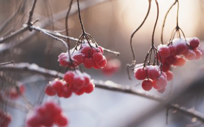 Οι ελάχιστες τιμές που καταγράφηκαν σήμερα στην Κεφαλονιά- Έρχεται περαιτέρω πτώση του υδραργύρου